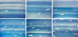 Alighiero Boetti, High altitude skies