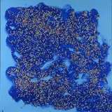 Confetti by Tano Festa, 1985, On the reverse: signature and date. The work is registered in the Tano Festa Archive under no., offered Apr 2023