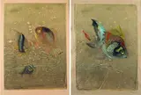 Silvio Polloni, Fish