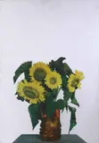 Michelangelo Pistoletto, Sunflowers
