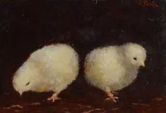 Chicks by Emanuele Costa, offered Feb 2023