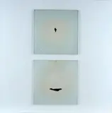 Claudio D'Angelo, Dawn (Palingenesis), 1984, On the reverse: signature