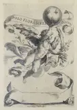 Cherubino Alberti, Winged genius (taken from a subject by Michelangelo in the Sistine Chapel), Burin engraving