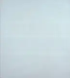 Riccardo Guarneri, Two stripes and no yellow light. 476
