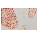 Antonio Sanfilippo, Untitled 1962