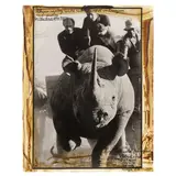 Peter Beard, Rhino roping, End Game series 1966-1999, photograph