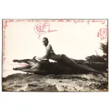 Peter Beard, Untitled