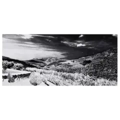 Abbas Gharib, The Roads 2019 digital print on, photographic paper
