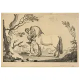Pietro Giacomo Palmieri, Horse And Groom, pen and brown ink