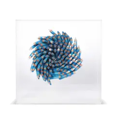 Untitled 2001 blue by Paola Pezzi, pencil in plexiglass case, offered Oct 2024