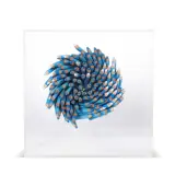 Paola Pezzi, Untitled 2001 blue, pencil in plexiglass case