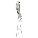 Nicola Bolla, Untitled, Parrot playing cards and iron h
