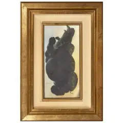 Silvano Gilardi, Rhinocertonte Rhoceronte 1965