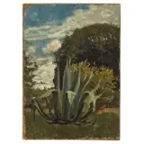 Telemaco Signorini, Agave, oil on canvas