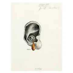 Tullio Pericoli, Untitled 1981 Indian