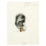 Tullio Pericoli, Untitled 1981 Indian