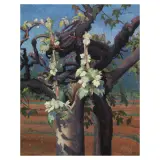 Rosano by Valentino Ghiglia, oil on canvas, offered Mar 2024