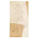 Gio Ponti, Angels n.6, pencil on tissue tark paper
