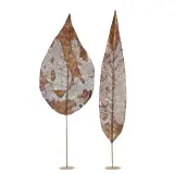 Nicola Zamboni, Untitled, Leaves