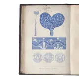 John Ruskin, (Architettura – Venezia – Illustrati 800) RUSKIN, John. The Stones of Venice. London, Smith, Elder, and Co., 1851-1853., (Architettura – Venezia – Illustrati