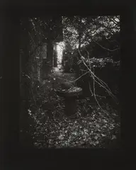 Rothmayer's Garden by Josef Sudek, Around 1955, black and white photography, sold Dec 2024
