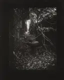 Josef Sudek, Rothmayer's Garden, Around 1955, black and white photography