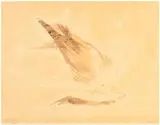 Morris Graves, Seeking to Nest