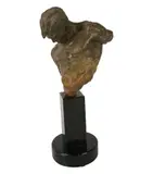 Richard MacDonald, Gymnast