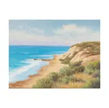 David Chapple, Crystal Cove, oil on artist board