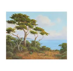 Carmel Coast by David Chapple, oil on artist board, offered Jun 2025