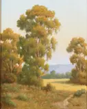 David Chapple, Evening Color, oil on artist board