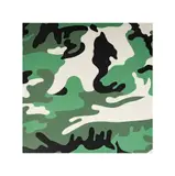 Andy Warhol, AndyWarholAmerican1928-1987Camouflagescreenprint in colors on Lenox Museum Board1987; unsigned; published by the artist and with his copyright, ink stamp verso, printed by Rupert Jasen Smith, New York and with his blindstamp
