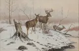 Terry Swanton Bateman, Rock Creek Royalty, oil on board