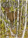 Neil Welliver, Deer, 1988Etching and, aquatint on Arches cover