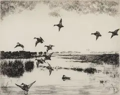 Frank Benson, Ducks on a Pond, Etching on paper