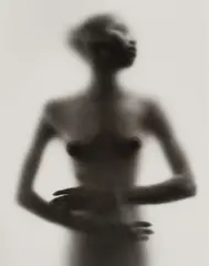 Veiled Black by Ruth Bernhard, 1974, Gelatin silver print, offered Aug 2022