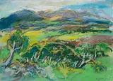 Elena Jahn, Untitled