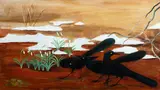 Dahlov Ipcar, Dahlov Ipcar Am. 1917-2017 "Snow Drops and Grackles"