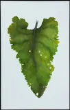 Burdock Leaf (Summer) by Marlene Ekola Gerberick, 2003, Oil on paper laid on canvas, offered Aug 2020