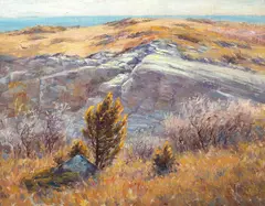 John Calvin Stevens, John Calvin Stevens Am. 1855-1940 Delano Park (Cape Elizabeth), 1909, Oil on canvas