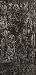 The Fawn, single print from the Through The Looking Glass suite, 1982, wood by Barry Moser, engraving, offered Sep 2026
