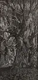 Barry Moser, The Fawn, single print from the Through The Looking Glass suite, 1982, wood, engraving