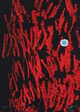 Joan Miró, Untitled Abstract from the Liberte des Libertes portfolio, 1971, etching with handcolored blue section
