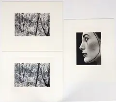 Abe Frajndlich, Forest Landscape with Figure, 1973, (2), Woman with Mime Makeup, 1974, gelatin silver prints attached to archival mounts