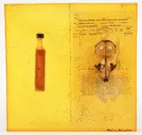 Adrienne Heinrich, Untitled, Mixed Media Construction with Skull, bottle and letter, housed in a silicone block