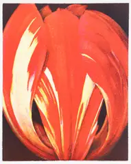 Tim Maguire, Closed Tulip, 2002, lithograph printed in colors