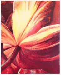 Tim Maguire, Title: Open Tulip, 2002, lithograph printed in colors, dimensions: