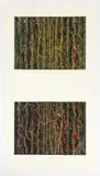 Kim Westcott, Link Track I and II, 2003, drypoint, pigment and encaustic wax on paper