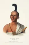 and James Hall (American, 1793-1868), Kai-Pol-E-Quah, White Nosed Fox by Thomas McKenny, 1836, lithograph with later hand coloring, offered Aug 2026