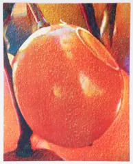 Tim Maguire, Baie, 2003, lithograph printed in colors